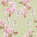 Tuberose. Seamless pattern