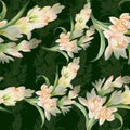 Tuberose. Seamless pattern. medicinal, perfumery and cosmetic plants.