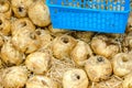 Tubers of decorative flowers at flower market in Amsterdam, Netherlands