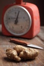 Tubers of Jerusalem artichoke