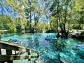 Tubers and swimmers float in shallow clear aqua spring waters in the woods, Devil's Eye, Ginnie Springs, Florida
