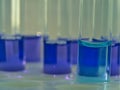 Tubes with blue liquid on test tube rack. Royalty Free Stock Photo