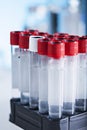 Tubes in the laboratory Royalty Free Stock Photo