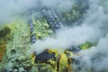 Tubes in melted sulfur around a smoking volcano in Indonesia