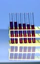 tubes with red liquid in research laboratory Royalty Free Stock Photo