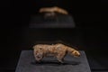 Tubingen, Germany, September 19, 2020: Prehistoric sculptures di