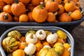 Tubs fulled with several pumpkin varieties, including pie pumpkins and colorful gourds