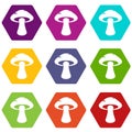 Tubular mushroom icon set color hexahedron