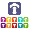 Tubular mushroom icons set flat