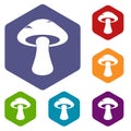 Tubular mushroom icons set hexagon