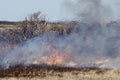 Tubulent grass fire