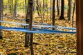 Tubulure pipes extracting sugar from maple trees