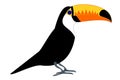 Tucan Royalty Free Stock Photo