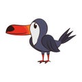 Tucan exotic bird animal cartoon