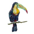 Tucan exotic tropical bird watercolor illustration isolated on white