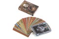 The tuck box and cards in a fan for a deck of the Steampunk cards made by Bicycle United States Playing Cards Company USPCC