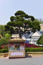 Tuck Shop, Lotte World, South Korea Royalty Free Stock Photo