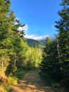 Tuckerman Ravine trail mountain range with fog