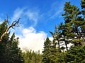 Tuckerman Ravine trail mountain range with fog