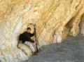 Tucki Mountain Marble Walls