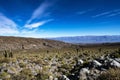 Tucuman Argentina Calchaquies valley arid and dry with mountains rocks in Tafi del Valle conifers molles and cardones cactus Royalty Free Stock Photo