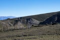 Tucuman Argentina Calchaquies valley arid and dry with mountains rocks in Tafi del Valle conifers molles and cardones cactus Royalty Free Stock Photo