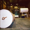 Tucuman Argentina, manufactures newsprint rolls from sugarcane bagasse Royalty Free Stock Photo