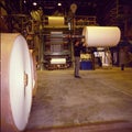 Tucuman Argentina, manufactures newsprint rolls from sugarcane bagasse