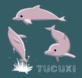Tucuxi Dolphin Cartoon Vector Illustration Royalty Free Stock Photo