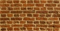 Tudor Brickwork in a wall