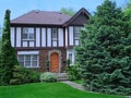 Tudor style house with large pine tree