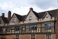 Tudor windows