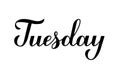 Tuesday calligraphy hand lettering isolated on white. Handwritten typography poster. Vector template for banner, sticker