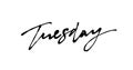 Tuesday handwriting vector ink. Black on white. Brush-pen style lettering.