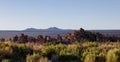 Tufa Rock formation in Mono Lake. Sunny Sunrise. Royalty Free Stock Photo