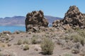 Tufa rock at Pyramid lake Royalty Free Stock Photo