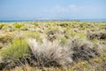 Tufa tower formations at Mono Lake in California`s eastern Sierra, located off of US-395 Royalty Free Stock Photo