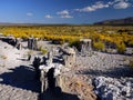 Tufa Towers, Mono Lake, California Royalty Free Stock Photo