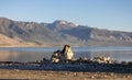Tufa towers rock formation in Mono Lake. Royalty Free Stock Photo