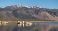 Tufa towers rock formation in Mono Lake. Royalty Free Stock Photo