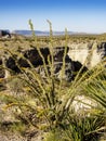 Tuff Canyon, Big Bend National Park, Texas Royalty Free Stock Photo