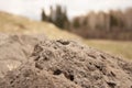 tuff stones volcanic rocks geology landscape with a large stone in the foreground Royalty Free Stock Photo