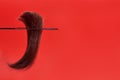 A tuft of brown hair with a curved tip in a comb hangs on a red background. Weakened lifeless dry hair