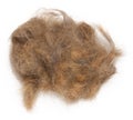 A tuft of combed gray cat hair on a white background, top view