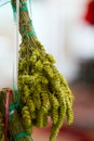 Tuft of green herb on the rope at farmer`s market outdoors