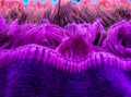 Tassel on the edge of the rug with soft purple, brown, red cotton threads Royalty Free Stock Photo