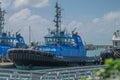 Tug Boat with blue cabin, tied up at Mackay Harbour, Australia