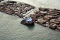 Tug boat and floating logs in Fraser River at New Westminster, British Columbia, Canada Royalty Free Stock Photo