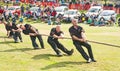 Tug of war at Nairn Royalty Free Stock Photo