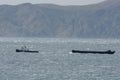 Tugboat pulling ship lost in bora